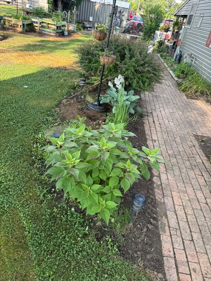 Landscaped garden bed along a brick walkway